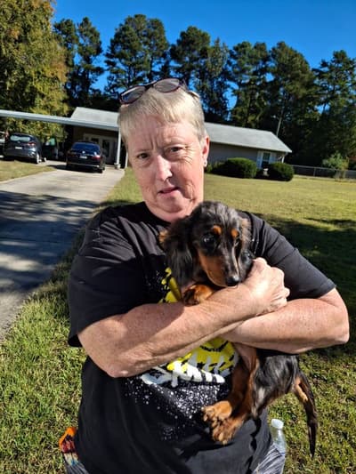 Camden, a Dachshund, Mini puppy from Pawrade