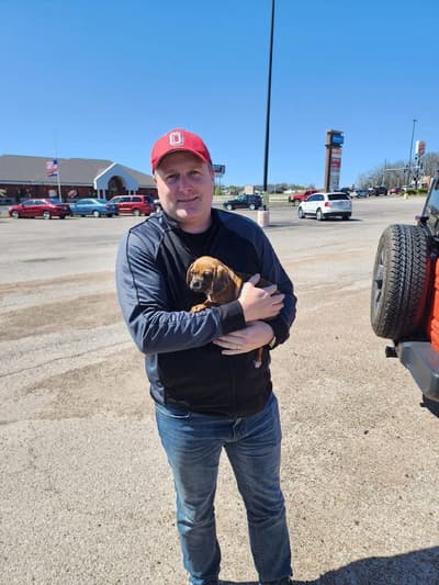 Georgia, a Puggle puppy from Pawrade