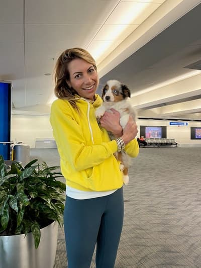 Gomer, a Miniature Australian Shepherd puppy from Pawrade