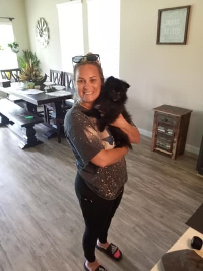 Gage, a Pomeranian puppy from Pawrade