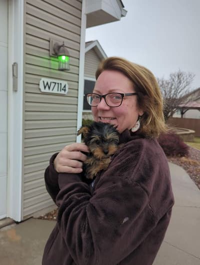 Fern, a Yorkshire Terrier - Yorkie puppy from Pawrade