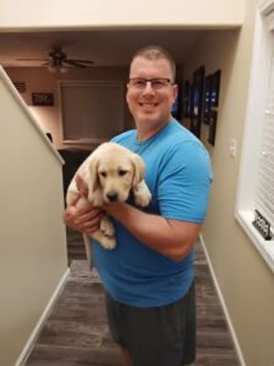 Cash, a Labrador Retriever puppy from Pawrade