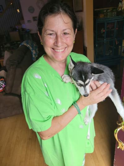 Jade, a Alaskan Klee Kai puppy from Pawrade