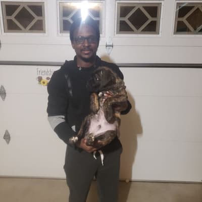 Carter, a Cane Corso Mastiff puppy from Pawrade