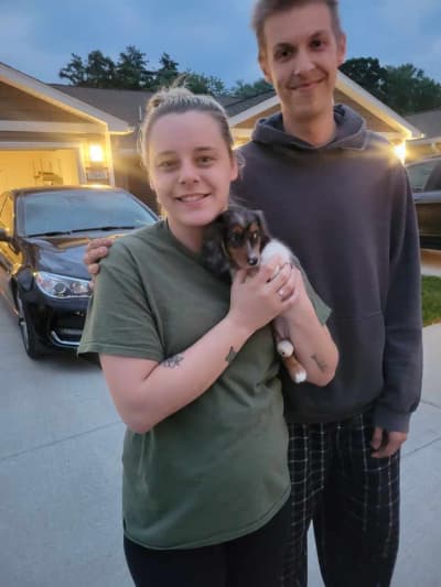 Calliope, a Dachshund, Mini puppy from Pawrade
