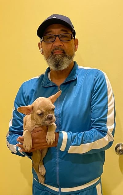 Rosie, a French Bulldog puppy from Pawrade