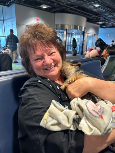 Doodle, a Yorkiepoo - Yorkie Poo puppy from Pawrade