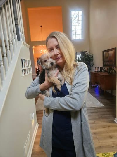 Jaxter, a Yorkiepoo - Yorkie Poo puppy from Pawrade