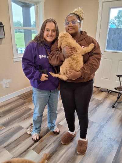 Gianna, a Goldendoodle puppy from Pawrade