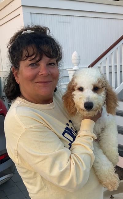 Dover, a Goldendoodle puppy from Pawrade
