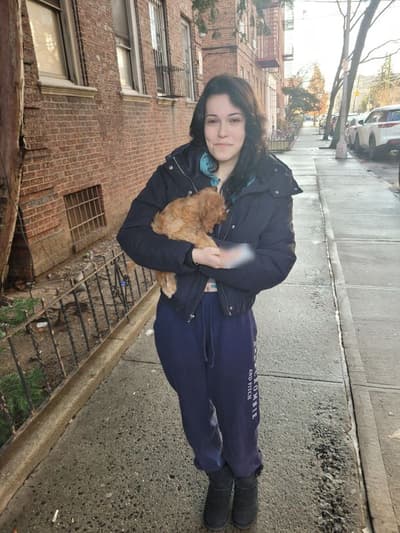 Angelica, a Cavapoo puppy from Pawrade