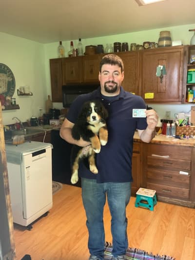 Emsley, a Bernese Mountain Dog puppy from Pawrade