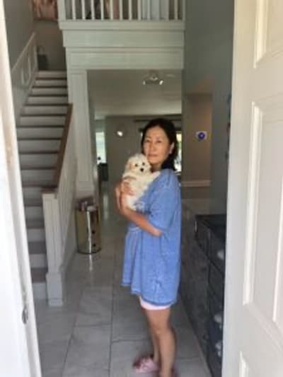 Eliza, a Malti Poo - Maltipoo puppy from Pawrade