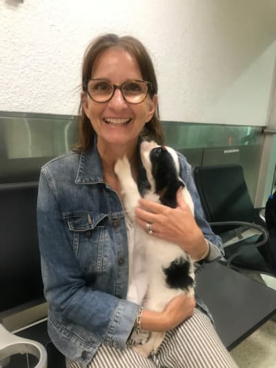Olive, a Cavalier King Charles Spaniel puppy from Pawrade