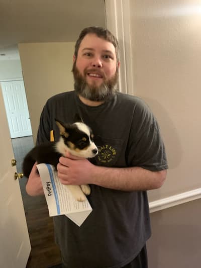 Weston, a  puppy from Pawrade