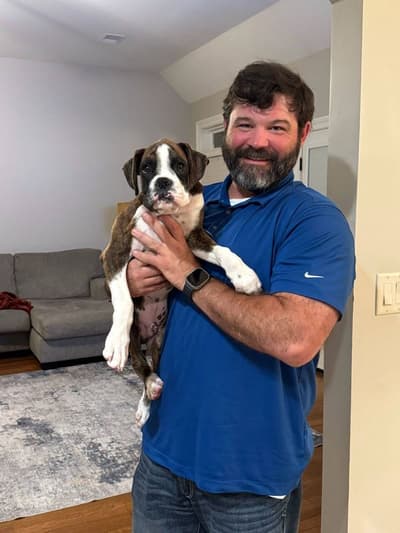 Louie, a Boxer puppy from Pawrade