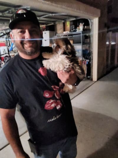Olanna, a Shih Tzu puppy from Pawrade