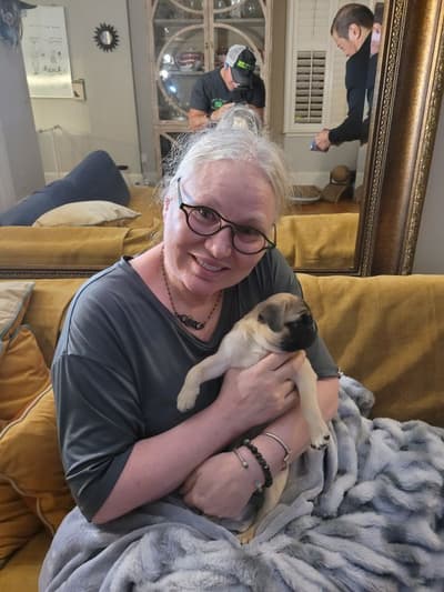 Genesis, a Pug puppy from Pawrade
