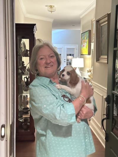 Lulu, a Cavalier King Charles Spaniel puppy from Pawrade