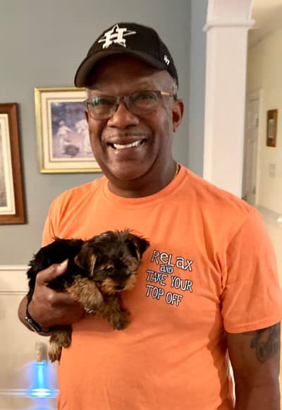Savannah, a Yorkshire Terrier - Yorkie puppy from Pawrade