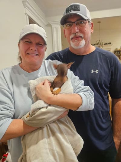 Cindy, a Miniature Pinscher puppy from Pawrade