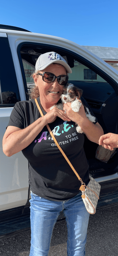 Fido, a Yorkshire Terrier - Yorkie puppy from Pawrade