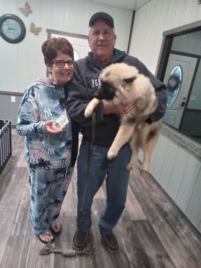 Carter, a Keeshond puppy from Pawrade