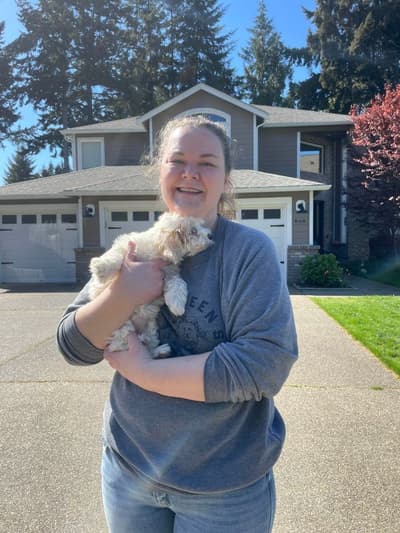 Toffee, a Shih-Poo - Shihpoo puppy from Pawrade