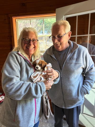 Iker, a Cavalier King Charles Spaniel puppy from Pawrade