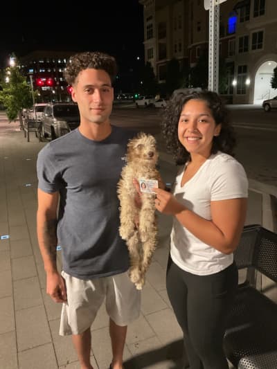 Wilson, a Aussiedoodle puppy from Pawrade
