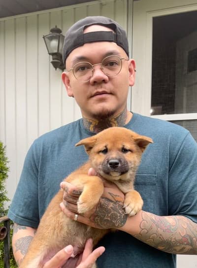 Max, a Shiba Inu puppy from Pawrade
