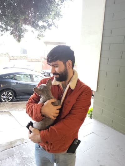 Kaleb, a French Bulldog puppy from Pawrade