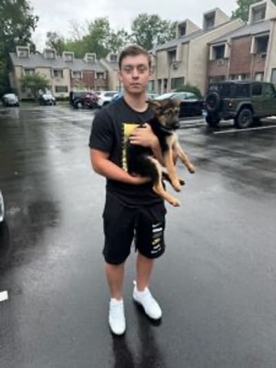 Aleah, a German Shepherd puppy from Pawrade