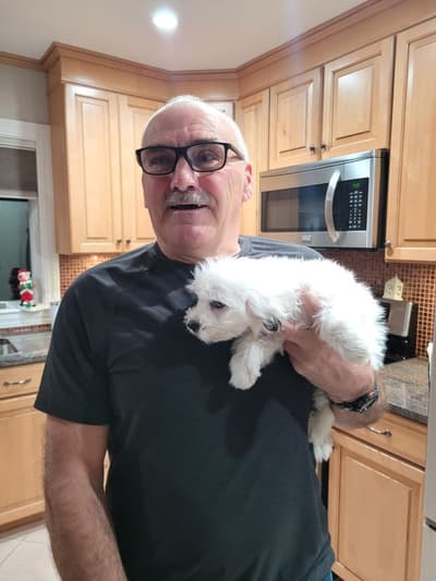 Joseph, a Coton De Tulear puppy from Pawrade
