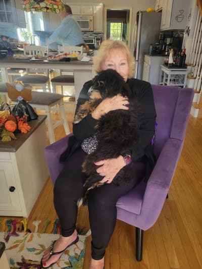 Pamela, a Bernedoodle, Mini puppy from Pawrade