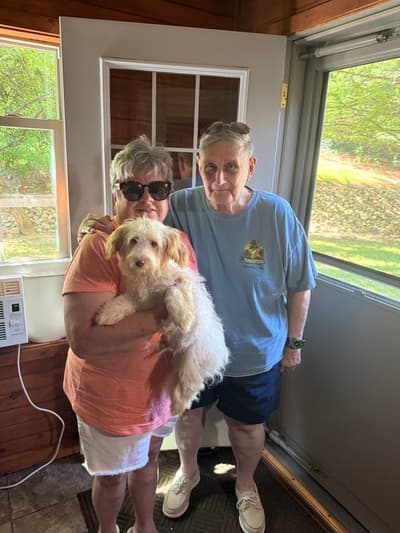 Frankie, a Havanese puppy from Pawrade