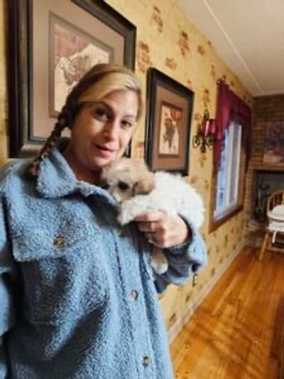 Betsy, a Coton De Tulear puppy from Pawrade