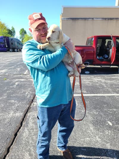 Rugar, a Labrador Retriever puppy from Pawrade