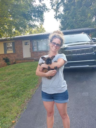 Cole, a French Bulldog puppy from Pawrade
