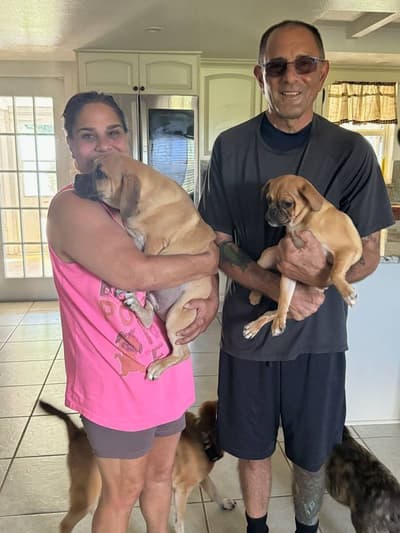 Reagan, a Puggle puppy from Pawrade