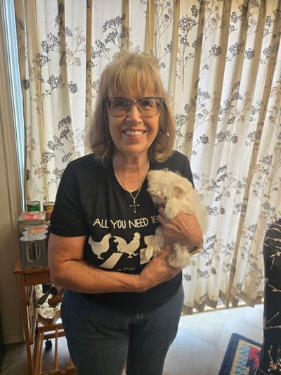 Amy, a Maltese puppy from Pawrade