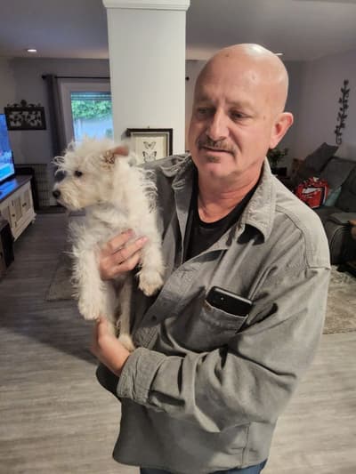 Nina, a West Highland White Terrier - Westie puppy from Pawrade