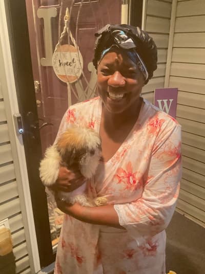 Cassie, a Shih Tzu puppy from Pawrade