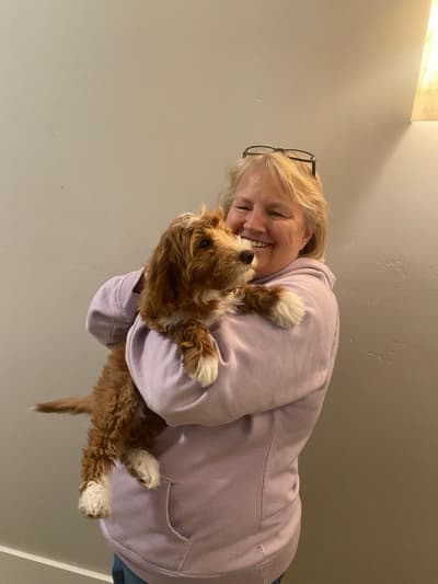 Kyler, a Goldendoodle, Mini puppy from Pawrade