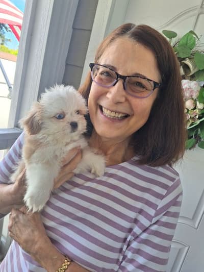 Mincus, a Shih Tzu puppy from Pawrade