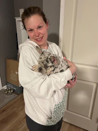 Tatum, a French Bulldog puppy from Pawrade