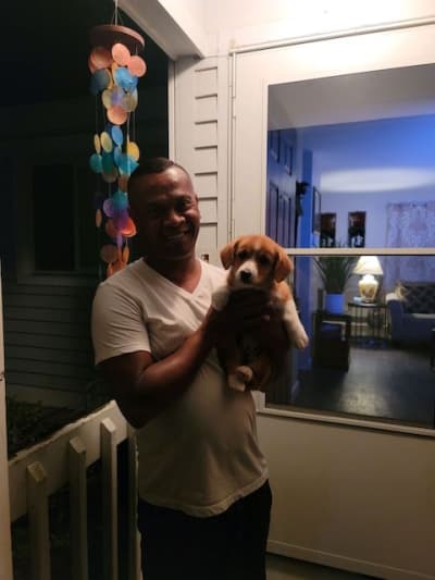 Toby, a  puppy from Pawrade