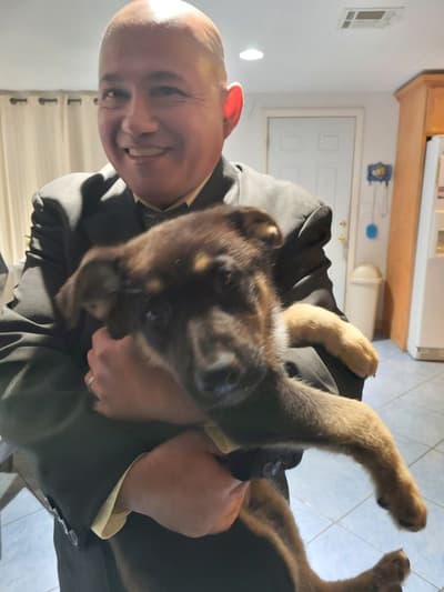 Gustaf, a German Shepherd puppy from Pawrade