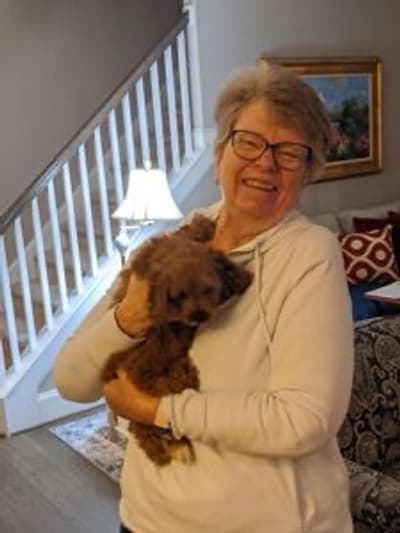 Hilda, a Cockapoo puppy from Pawrade