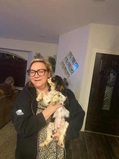 Sally, a Cavalier King Charles Spaniel puppy from Pawrade